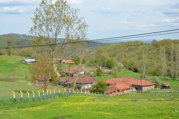 Fotoğraf 2