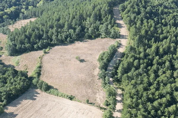9.471 M2 Kaz dağlarında Satılık Tarla. Çanakkale Yenice Sazak köyü 113 ada 81 parsel Zeynel öztürk 0537 824 1912