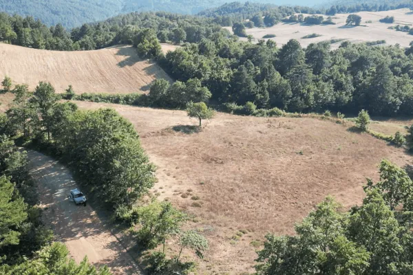 Fotoğraf 14
