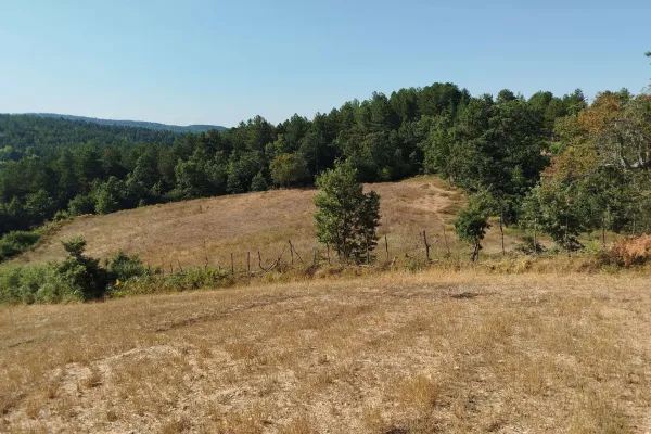 Fotoğraf 15