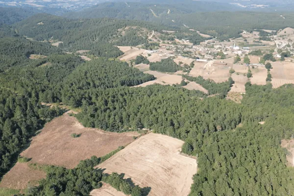 Fotoğraf 22