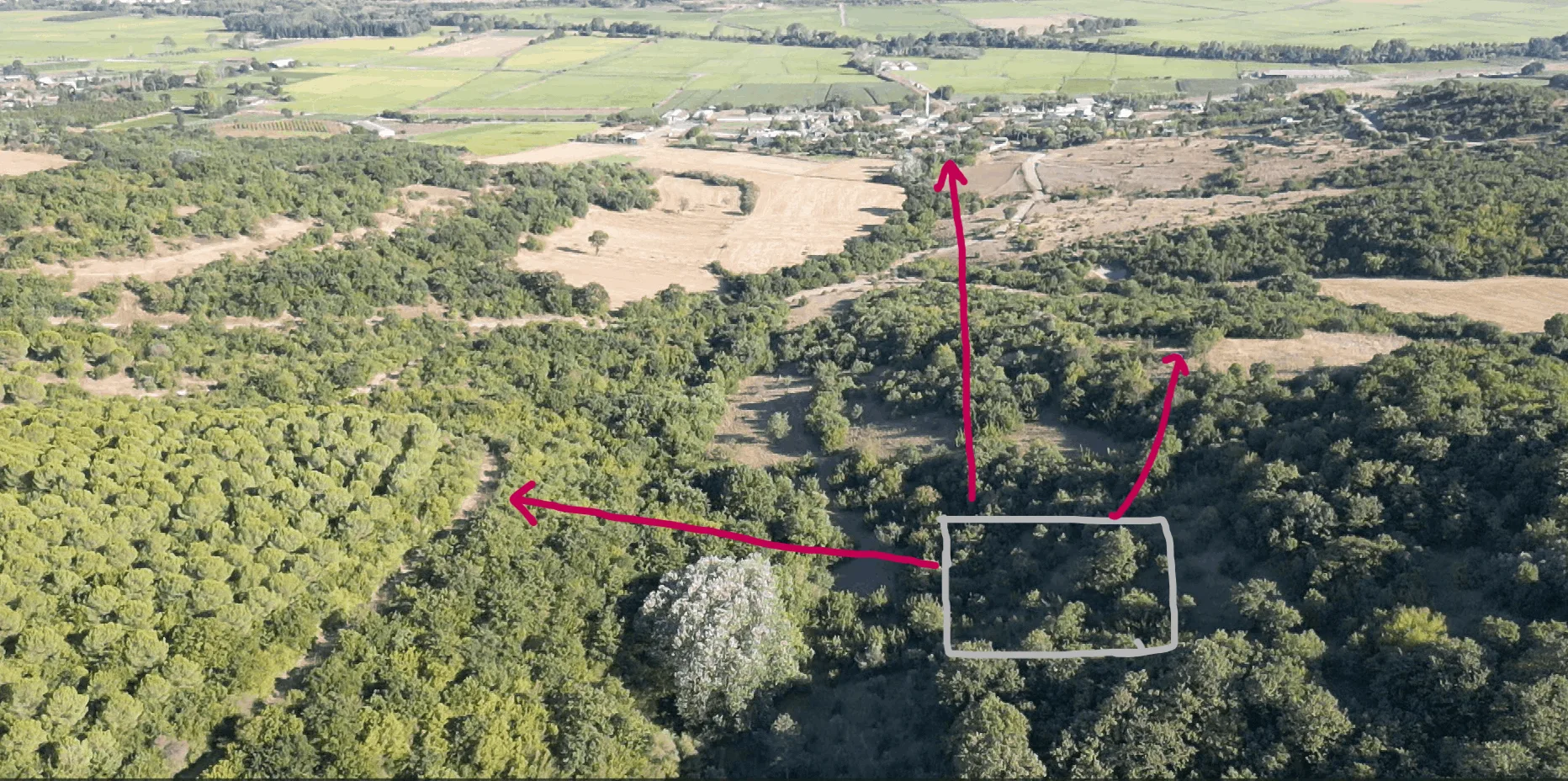 954 M2 Orman İçinde Satılık Tarla. Baıkesir Manyas Dereköyde 136 ada 14 parselde.
