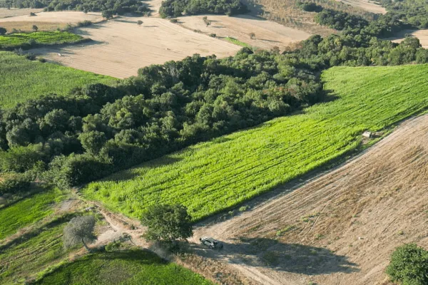 Fotoğraf 12