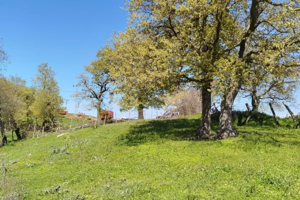 2.000 m2 Arsa. Balıkesir Gönen Kalburcu köyü 110-3 parselde.