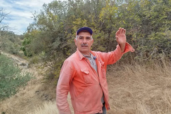 Fotoğraf 4