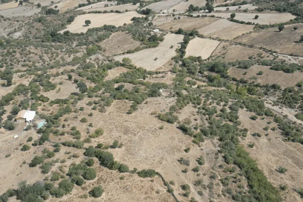 Fotoğraf 14