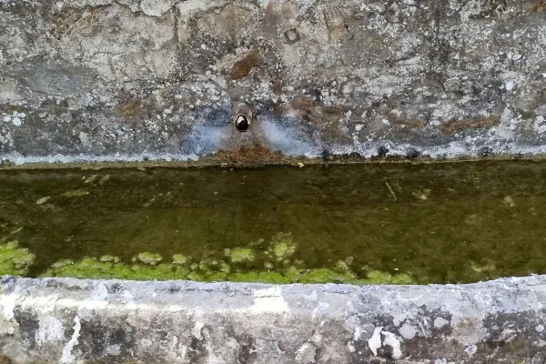 Fotoğraf 15
