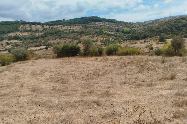 Fotoğraf 17