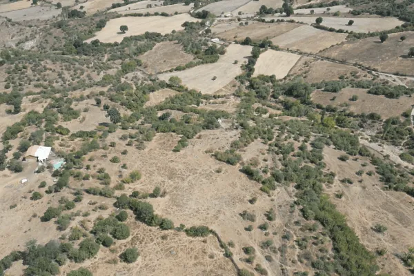 Fotoğraf 18