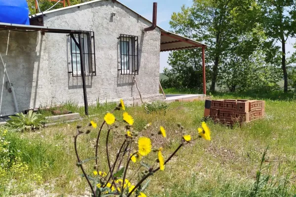 Fotoğraf 6