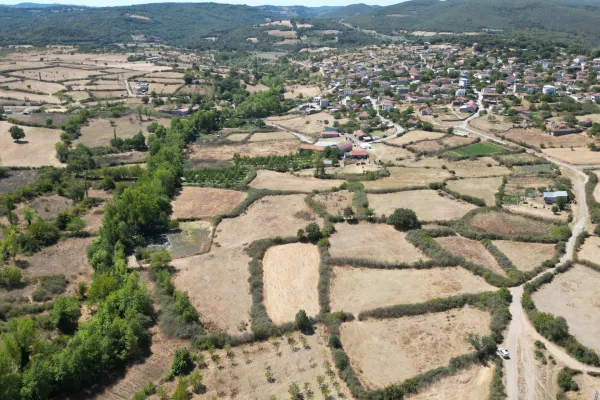 Fotoğraf 12